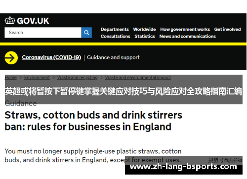 英超或将暂按下暂停键掌握关键应对技巧与风险应对全攻略指南汇编 英超或将暂按下暂停键掌握关键应对技巧与风险应对全攻略指南汇编