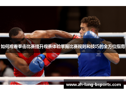 如何观看拳击比赛提升观赛体验掌握比赛规则和技巧的全方位指南