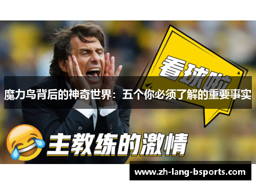 魔力鸟背后的神奇世界：五个你必须了解的重要事实