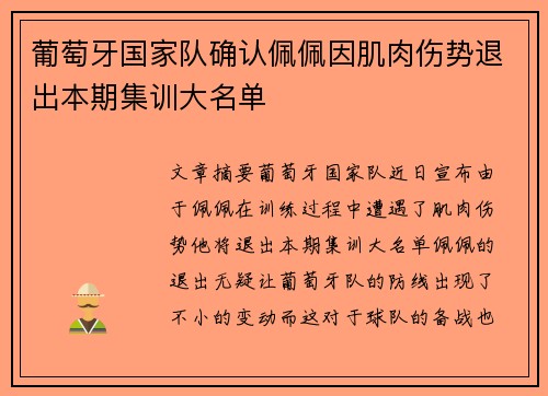 葡萄牙国家队确认佩佩因肌肉伤势退出本期集训大名单